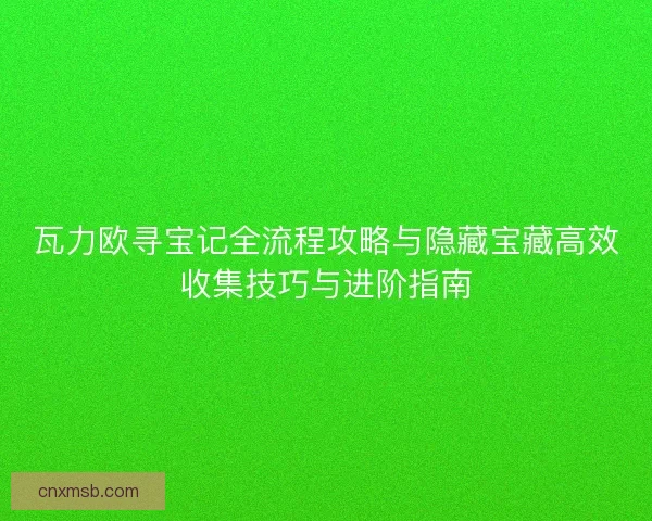 瓦力欧寻宝记全流程攻略与隐藏宝藏高效收集技巧与进阶指南