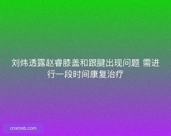 刘炜透露赵睿膝盖和跟腱出现问题 需进行一段时间康复治疗